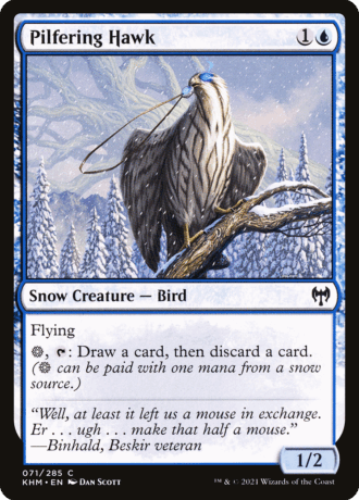 Pilfering Hawk