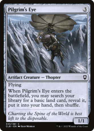 Pilgrim's Eye
