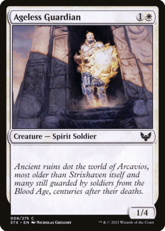Ageless Guardian