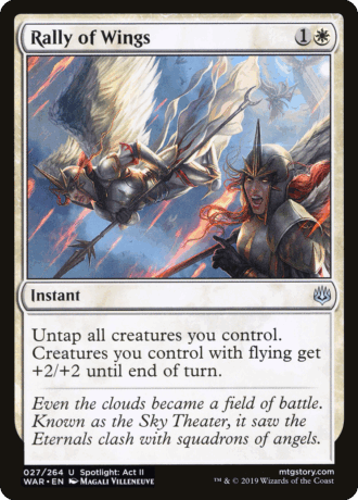 Rally of Wings