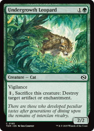 Undergrowth Leopard