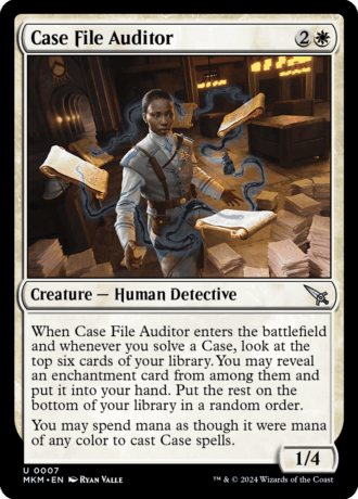 Case File Auditor