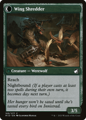 Bird Admirer // Wing Shredder