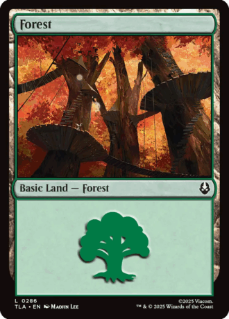 Forest