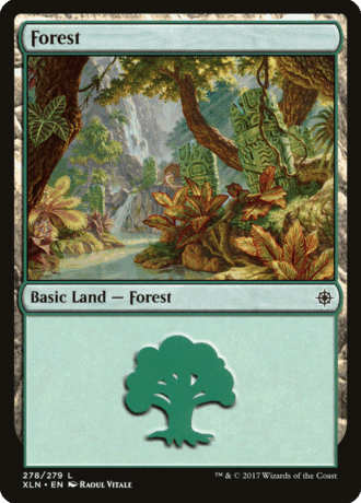 Forest