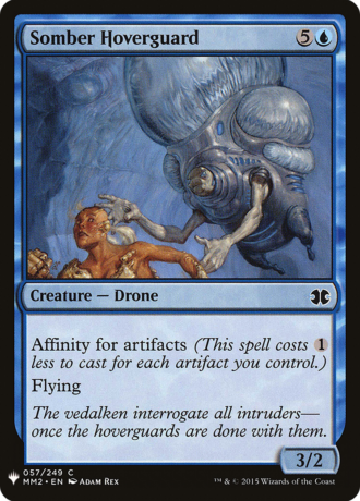 Somber Hoverguard