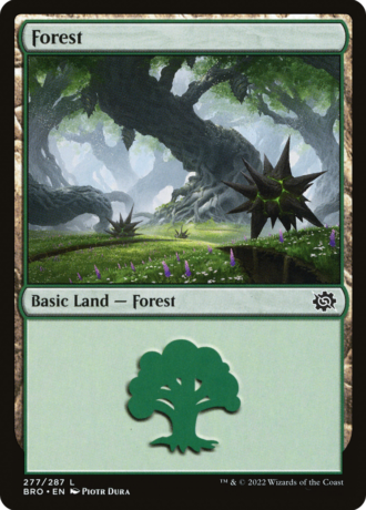 Forest