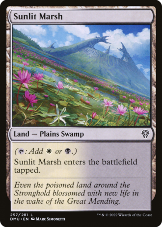 Sunlit Marsh
