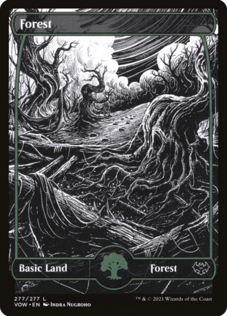 Forest
