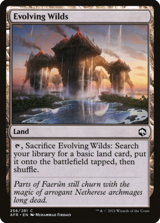 Evolving Wilds