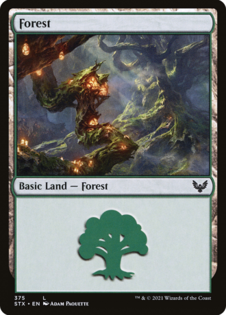 Forest