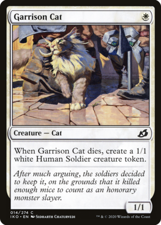 Garrison Cat