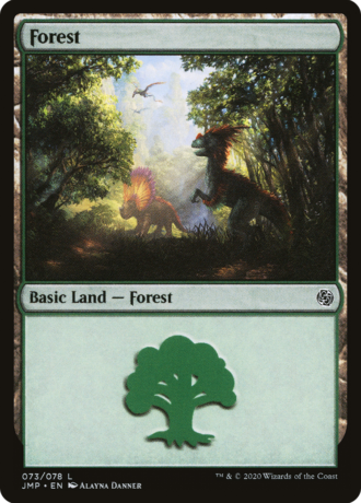 Forest