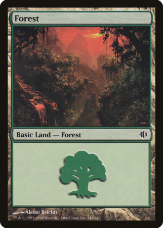 Forest