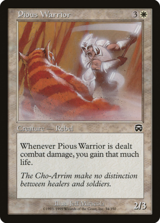Pious Warrior